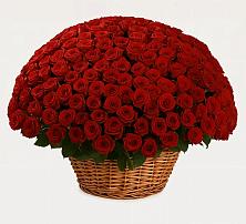 Премиум букет из: Розы в Воскресенском